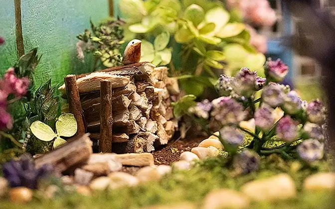 Ein Vogel auf einem Holzstapel in einem Book Nook.